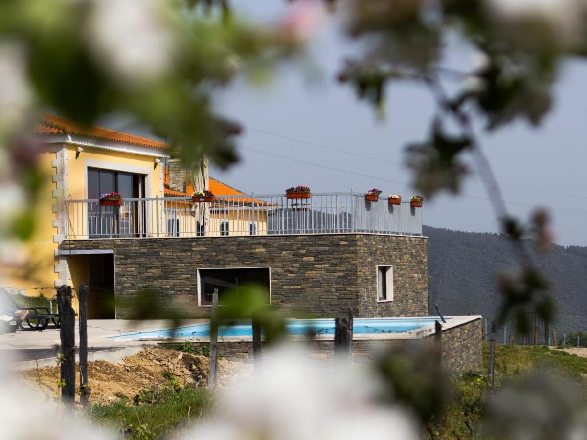 Quinta Da Laceira - Douro Valley - Alojamento Local Vila Real Exteriér fotografie